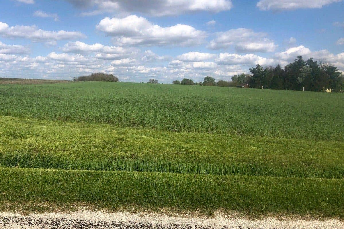 Grass field with cloudy sky